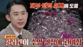 서태후가 콜라겐 즐겨 먹은 이유!