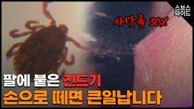 치료제도 없는 살인진드기! 악성 민원인 모의훈련 무서워~