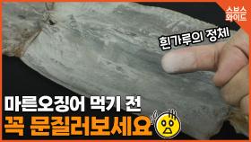 마른오징어 구워 먹으면 암에 걸린다? 진실은?