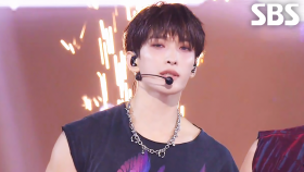 세븐틴 (SEVENTEEN) - THUNDER | SBS 250608 방송