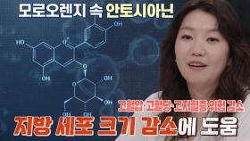 내장지방에 맞서는 ‘안토시아닌’의 특별한 역할!