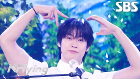 엔플라잉 (N.Flying) - 만년설 (Everlasting) | SBS 250608 방송