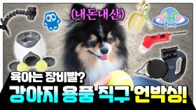 초보 집사 주목📢 난생 처음 보는 해외 직구 강아지 용품 언박싱🛒ㅣSurprising Items From Abroad For The Dogs!