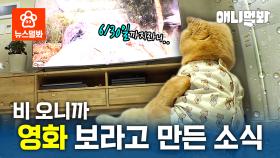 비 + 이불 + 이 영화 = 행복 풀 콤보 셋트...🍿ㅣPerfect Combination For Happiness Is Rain, Blanket, And THIS MOVIE