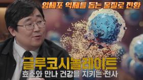 암세포 제거하는 초록 잎 분자 ‘글루코시놀레이트’