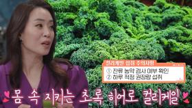 몸 속 지키는 ‘컬리케일’ 섭취 주의사항★