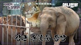 [자이언트 동물병원] 내원 환자 모음집ㅣ[Animal Hospital For Giant Animals] Compilation Of The Patients