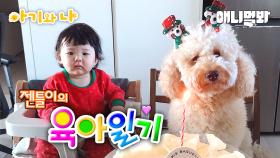 강아지 생일을 위한 아기공주님의 선물은?(젠틀 유하 모음zip)ㅣBirthday Present Prepared By Baby Princess To A Dog