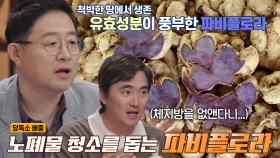 당독소 배출 돕는 ‘파비플로라’의 특별한 효능★