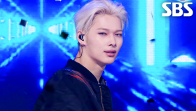 ENHYPEN - Outside | SBS 250629 방송