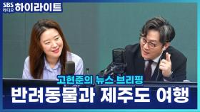 비행기에 반려동물 전용석까지?! 항공사들이 '펫심'을 사로잡는 방법