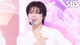 POW(파우) - 다정해지는 법 | SBS 250706 방송