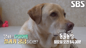 [7월 20일 예고] 출렁 뱃살×보이지 않는 턱선 보유자 ‘갈비’의 다이어트 도전기 대공개★