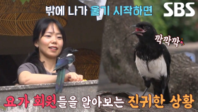 까까, 요가 회원 영업하는 영특한 능력 공개↗