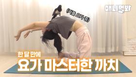 까치가 제주도에서 요가 강사가 된 사연🧘ㅣThe story of how a magpie became a yoga instructor in Jeju Island🧘