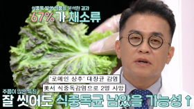 사망으로까지 이어지는 여름철 식중독※ (더건강한스쿨)