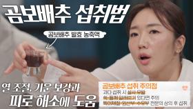 면역 올릴 수 있는 여름 보약 ‘곰보배추’ 섭취법과 주의점※