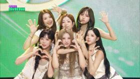 PURPLE KISS(퍼플키스) - DOREMI [THE SHOW 250729]