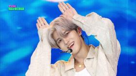 ONE OR EIGHT - 365 [THE SHOW 250729]