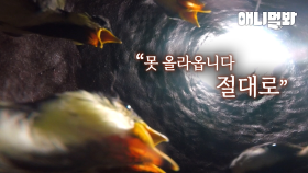 비밀스러운 호리병 안, 그곳엔 박새 10남매가 살고 있었습니다ㅣInside the secret bottle, there lived ten siblings of the mase