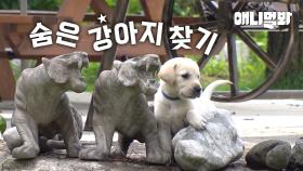 연 매출 400억 대표 손주로 태어난 금수저 리트리버 11남매의 전원일기🏠ㅣ11 Retrievers Living In The Rural Side