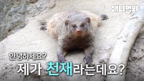 우리 얼굴 처음 본 사람? 다 드루와.ㅣPeople Who See Me For The First Time. Come In.