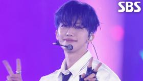 NCT DREAM - INTRO + BTTF + CHILLER♬