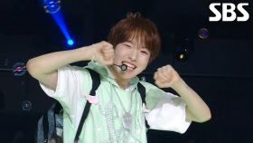 NCT WISH - 내 얘길 들어봐 (원곡:파파야)♬