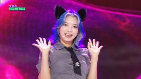 KEJIMIN(케지민) - Neko Neko(네코네코) [THE SHOW 250819]