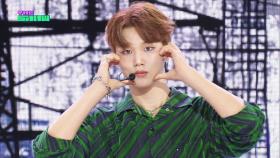 idntt - Storm(던져) [THE SHOW 250819]