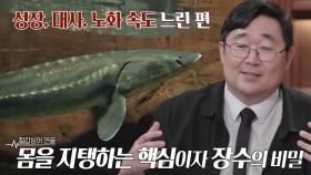 과학자도 신기해하는 철갑상어의 장수 비결 ‘연골’