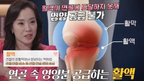 혈관 없는 연골에 영양분 공급해 주는 ‘활액’