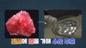 진시황이 찾은 불로장생약의 정체!