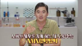 세포 속 젊음 깨우는 NMN(엔엠엔) 스위치★