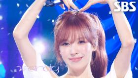 Sunkiss - WENDY(웬디) | SBS 250914 방송