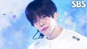 COLOR - NCT WISH | SBS 250914 방송