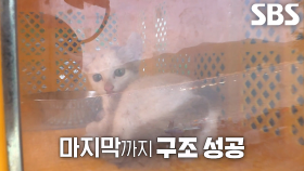 고양이 가족의 무인도 생활 청산 위한 구조♨