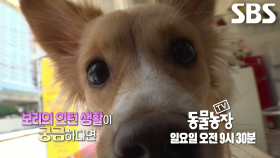 [9월 21일 예고] 미용실 1년 차 보리의 인턴생활★