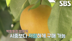 박람회장에서 만날 수 있는 ‘나주 햇배×엉겅퀴즙’