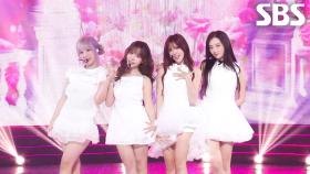 Love Your Flower - 프림로즈(PRIMROSE) | SBS 250921 방송