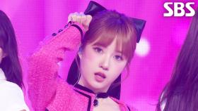 Sure Thing - 수린(SOORIN) | SBS 250921 방송