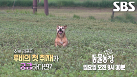 [9월 28일 예고] 초보 리포터 루비의 관매도 첫 취재기★