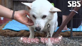 복순이 집 리모델링 위한 복순이의 대가족 총출동!