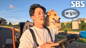 루시코기도 대만족한 카트 레이싱 경주↗