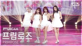 [안방1열 풀캠4K] 프림로즈 'Love Your Flower' (PRIMROSE FullCam) @SBS Inkigayo 250921