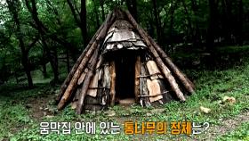 숲속 점령한 수상한 움막집들의 정체!