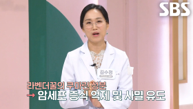 강력한 항산화 성분 갖고 있는 라벤더꿀의 ‘쿠마린’ 효능!