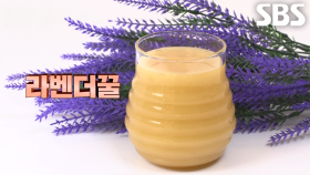 건강에 좋은 성분 풍부해 면역력 강화하는 ‘라벤더꿀’