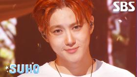 Who Are You - 수호(SUHO) | SBS 250928 방송