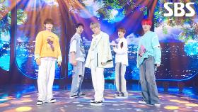 MY PRIDE - TIOT(티아이오티) | SBS 250928 방송